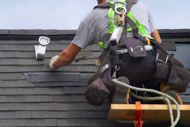 Best Roof Gutter Cleaning  in Mukwonago, WI
